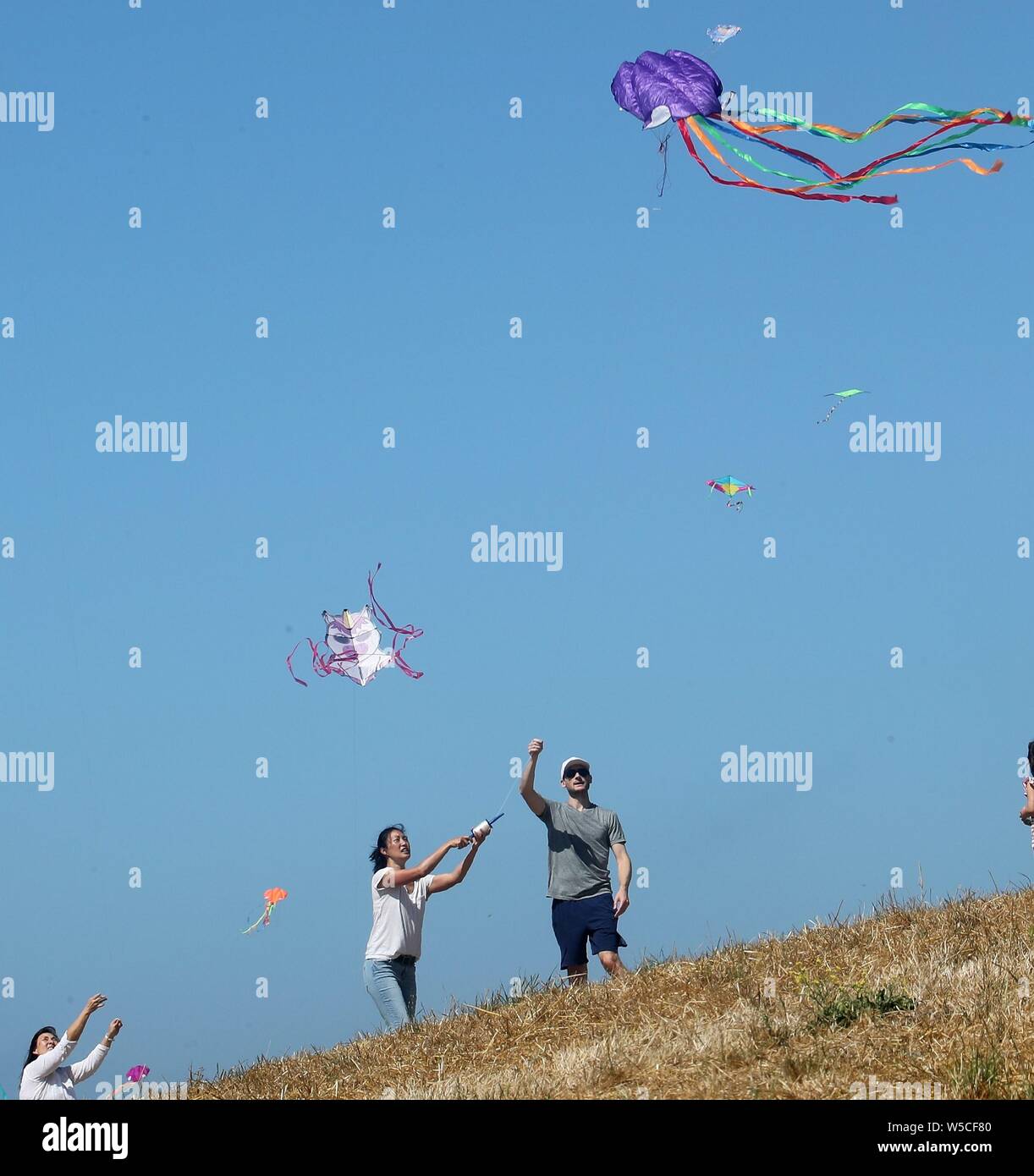 In California, Stati Uniti d'America. 27 Luglio, 2019. La gente volare Kites durante il XXXIV Berkeley Kite Festival di Berkeley, California, Stati Uniti, 27 luglio 2019. Credito: Xinhua/Alamy Live News Foto Stock