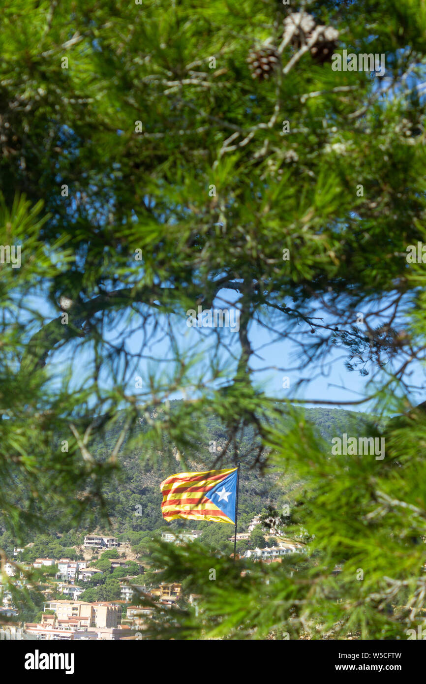 Una vista della bandiera catalana battenti in un vento forte dietro una linea di alberi Foto Stock