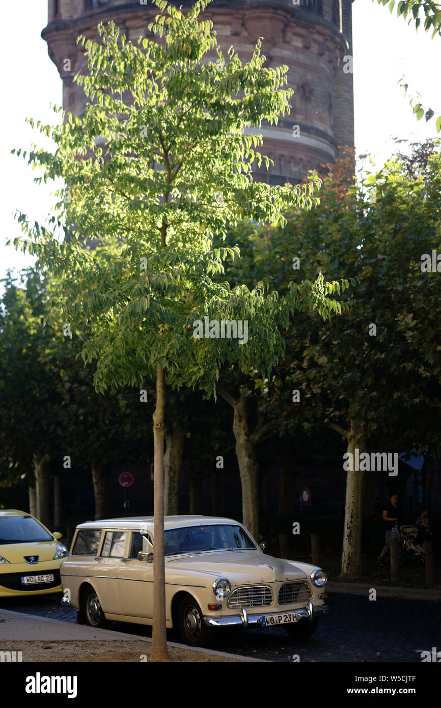 Worm, Germania - 13 Ottobre 2018: un vintage automobile parcheggiata di fronte alla torre d'acqua sulla Piazza di Carlo il 13 ottobre 2018 in Worms. Foto Stock
