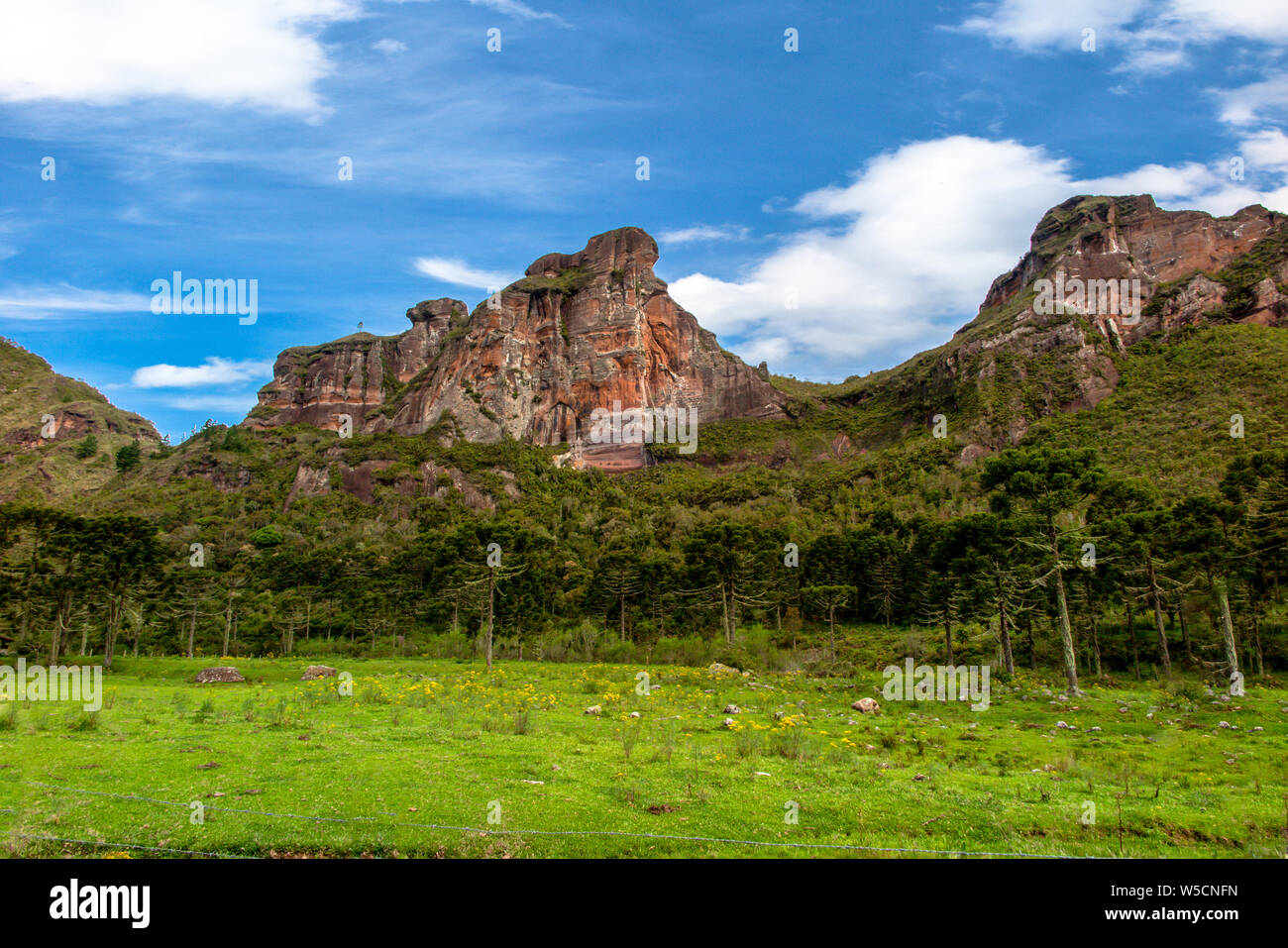 Pedra da Aguia montagna con foreste, campo di erba e cielo blu Foto Stock