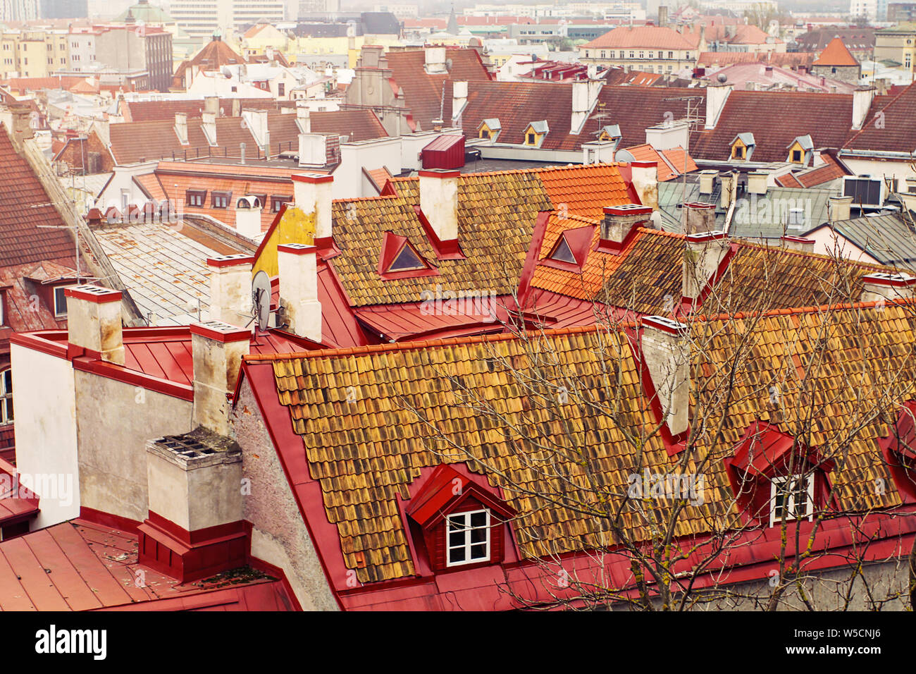 Tallinn, Estonia. Vista dei tetti medievali della città vecchia di Tallinn, Estonia Foto Stock