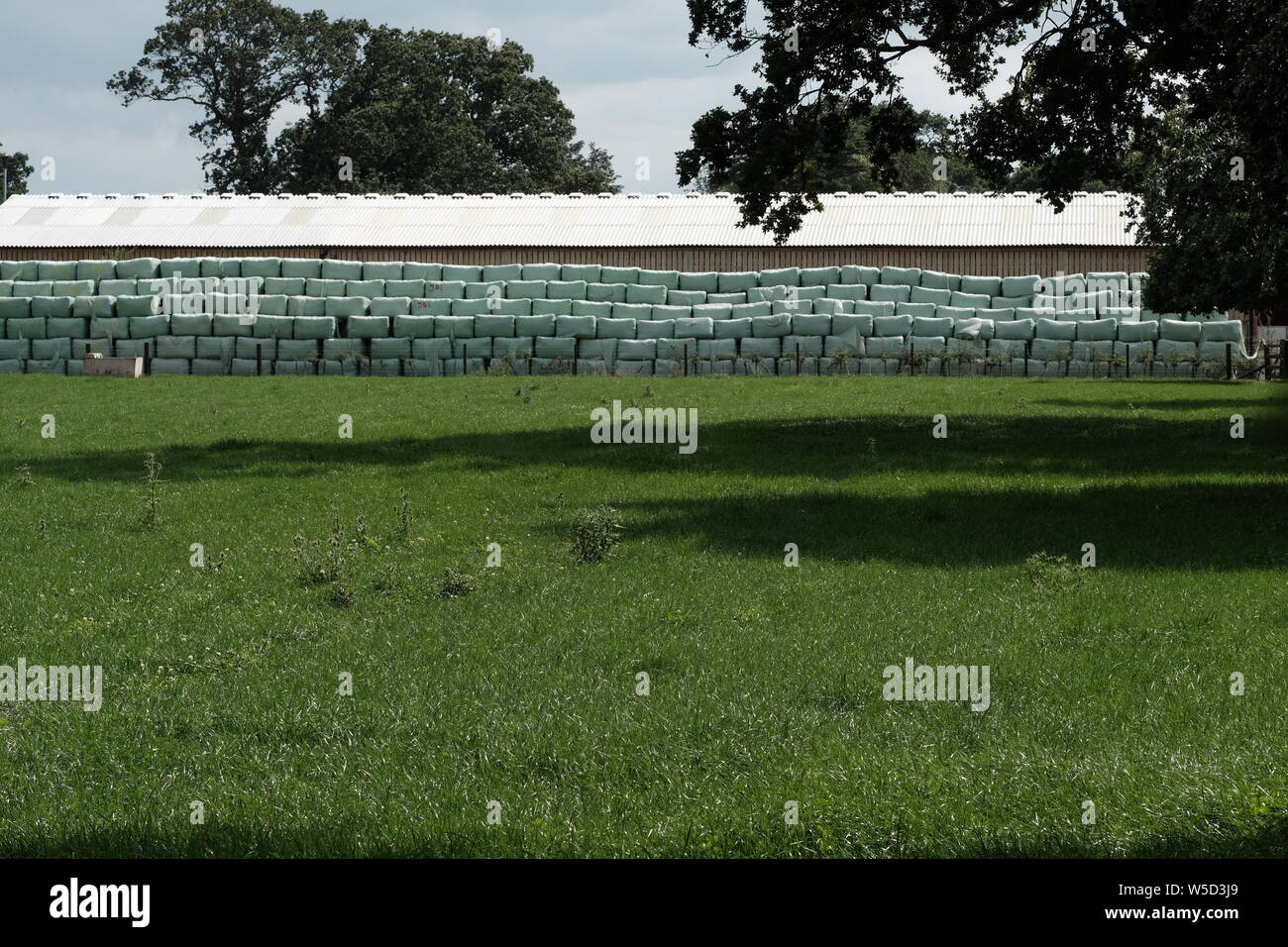 Avvolgere le balle di inverno di alimenti per il bestiame. Foto Stock