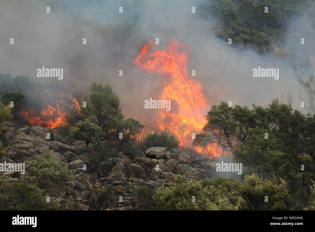 Nella foto il legno Balata in fiamme (Alberto/fotogramma, BORGETTO (PA) - 2019-07-27) p.s. la foto e' utilizzabile nel rispetto del contesto in cui e' stata scattata, e senza intento diffamatorio del decoro delle persone rappresentate Foto Stock