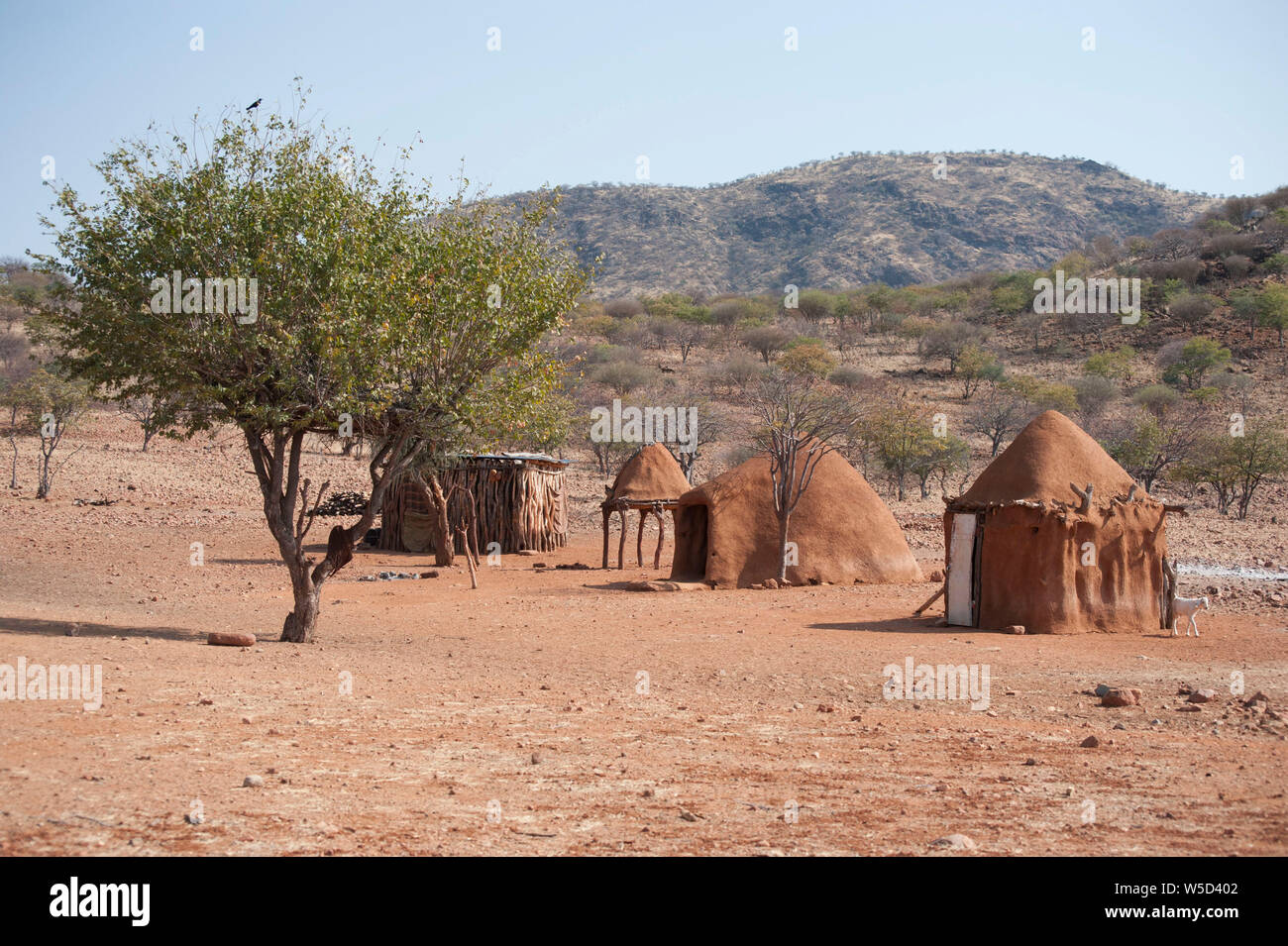 Tribù Himba village, Kaokoveld, Namibia, Africa Foto Stock