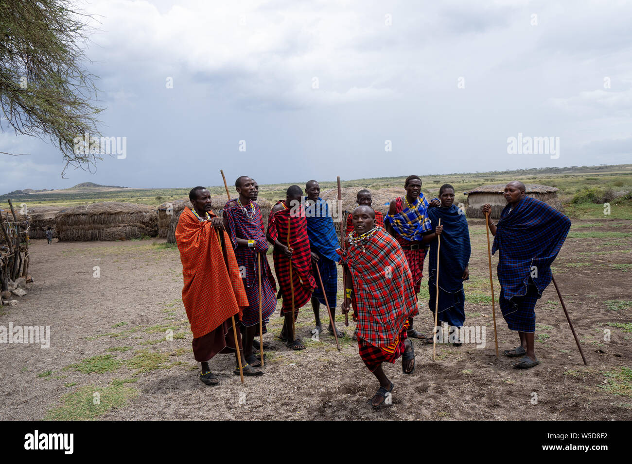 Tradizionale Masai Jumping danza in un villaggio Masai, Tanzania Africa orientale Foto Stock