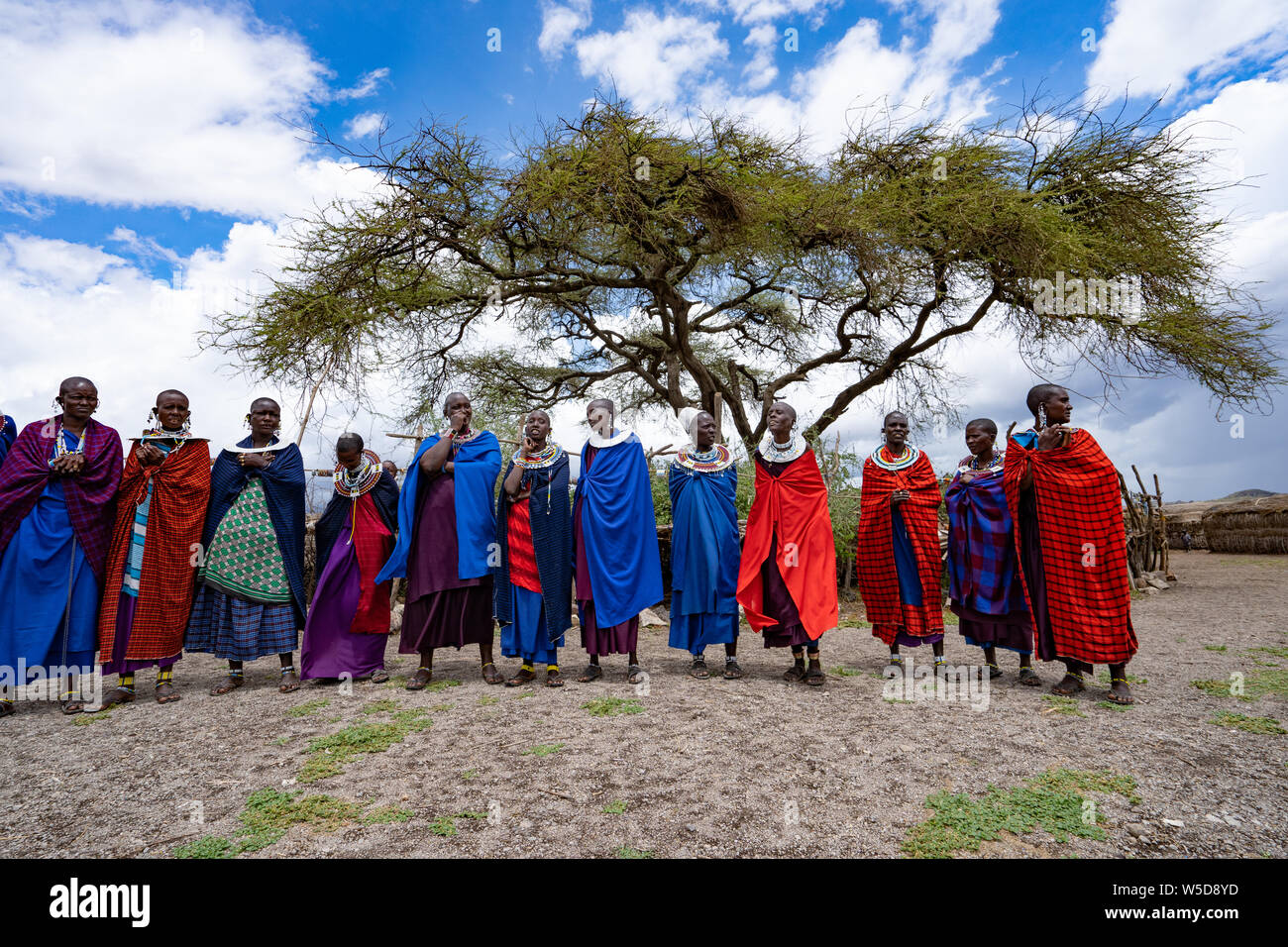 Tradizionale Masai Jumping danza in un villaggio Masai, Tanzania Africa orientale Foto Stock