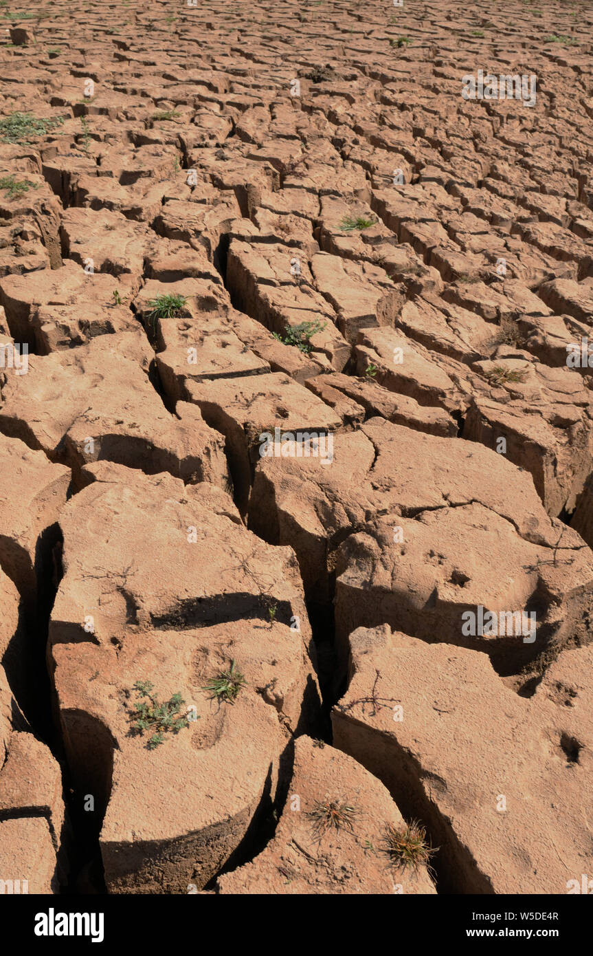 Laos: lungo il fiume Mekong, ci sono molti a secco della zona a causa del cambiamento climatico globale Foto Stock