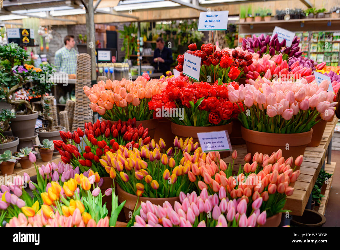 Bloemenmarkt, il mercato dei fiori galleggiante di Amsterdam, Paesi Bassi Foto Stock