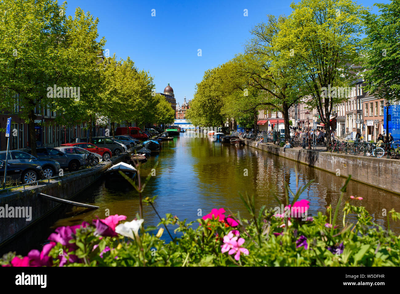Edifici, alberi e barche lungo il canale di Amsterdam, Paesi Bassi Foto Stock