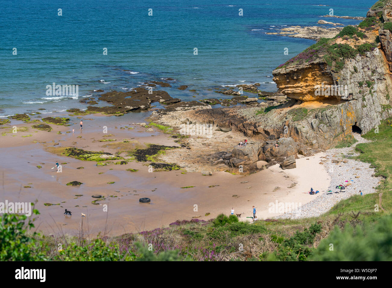 Cove Bay, Hopeman, murene, UK. 28 Luglio, 2019. Regno Unito. Questa è la scena di domenica pomeriggio al molto baia riparata baia che è vicino a Hopeman sul Moray Coast. Credito: JASPERIMAGE/Alamy Live News Foto Stock