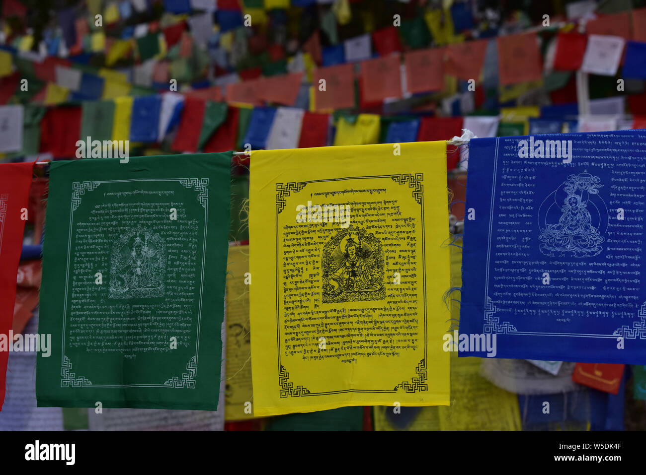 Bandiere di preghiera, parte di un rituale di circuito che i pellegrini tibetani prendere in un senso orario (kora) direzione al di fuori del complesso Tsuglagkhang, McLeodganji, India. Foto Stock Bandiere di preghiera, parte di un rituale di circuito che i pellegrini tibetani prendere in un senso orario (kora) direzione al di fuori del complesso Tsuglagkhang, McLeodganji, India. Foto Stock