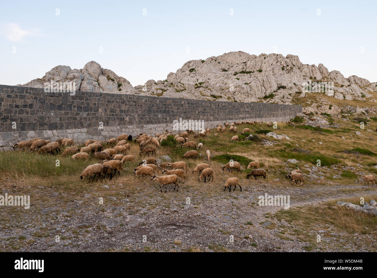 Tulove Grede, montagna di Velebit, Croazia Foto Stock