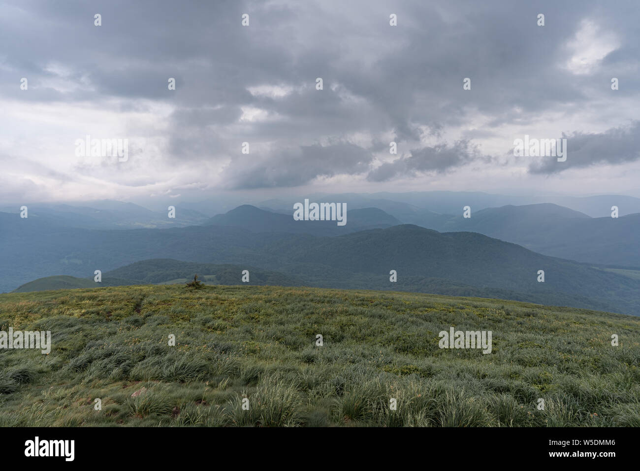 La gamma della montagna di nubi in Bieszczady, Polonia. Foto Stock