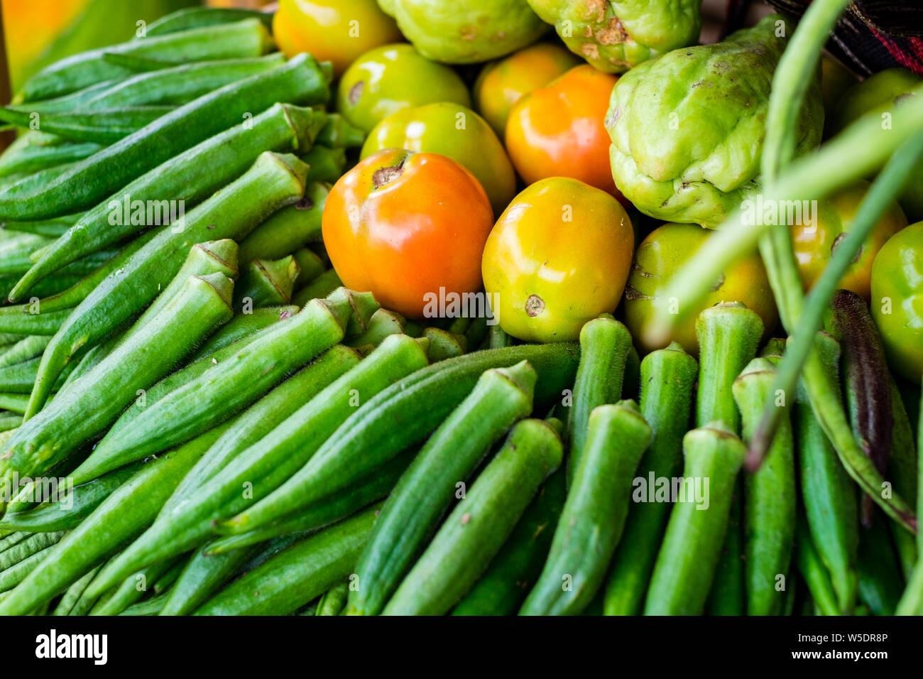 Primo piano di vegetale okra (AKA ladies' dita o ochro), pomodori maturi e chayote sayote o. Messa a fuoco selettiva. Foto Stock