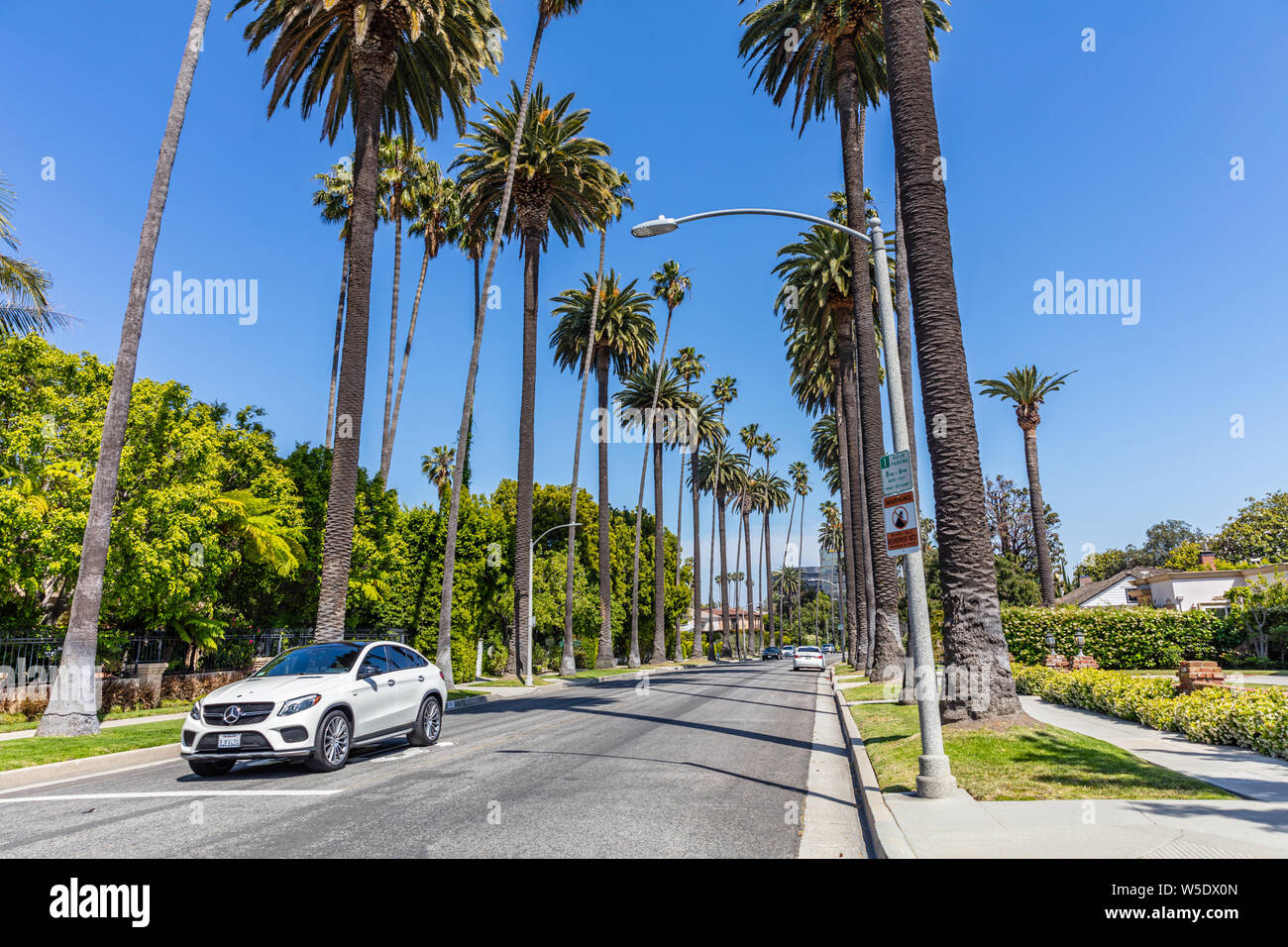 Los Angeles California, Stati Uniti d'America. Il 31 maggio 2019. Beverly Hills, palme e cielo blu sullo sfondo. Soleggiata giornata di primavera. Foto Stock