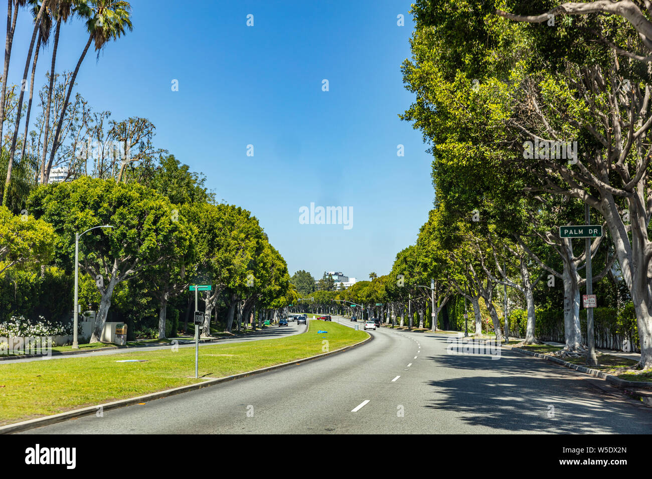 Los Angeles California, Stati Uniti d'America. Il 31 maggio 2019. Beverly Hills, Palm drive segno, alberi e cielo blu sullo sfondo. Soleggiata giornata di primavera. Foto Stock