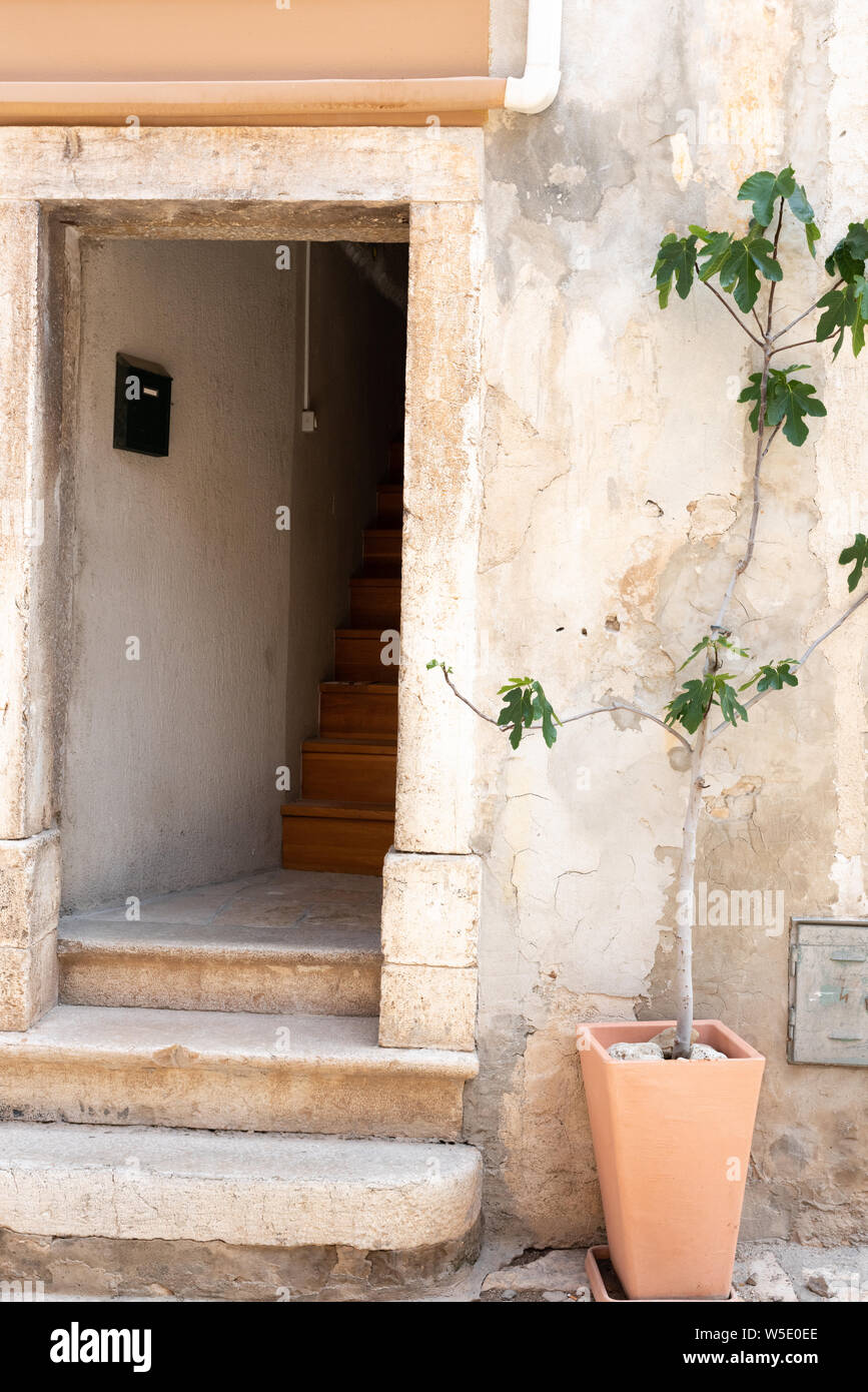 Città vecchia di Rovigno, Istria, Croazia Foto Stock