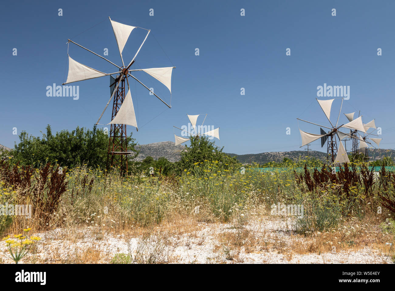 Mulini a vento cretese sull'Altopiano di Lassithi, Creta, Grecia Foto Stock