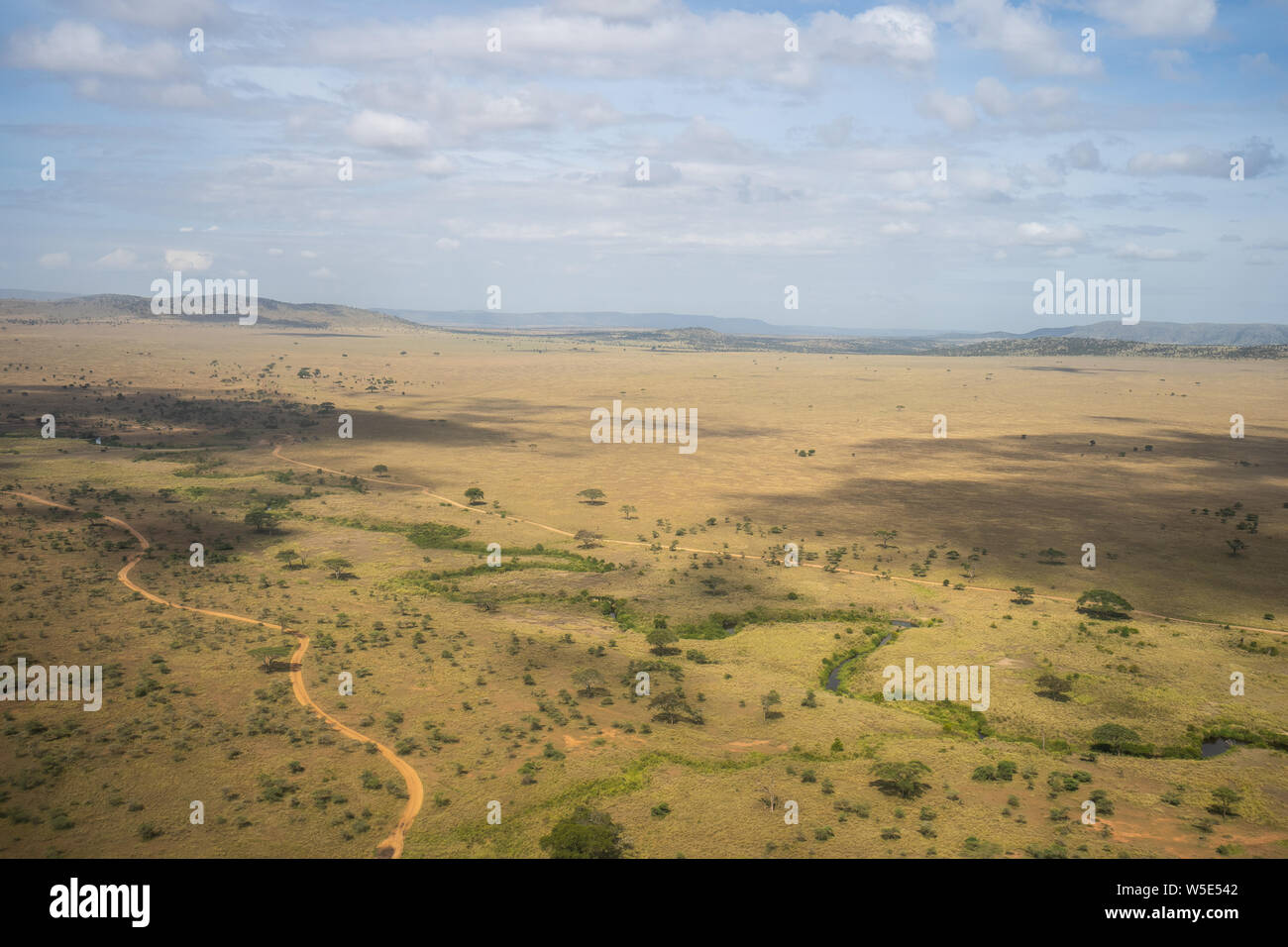 La fotografia aerea dei pascoli nel Parco Nazionale del Serengeti, Tanzania Foto Stock