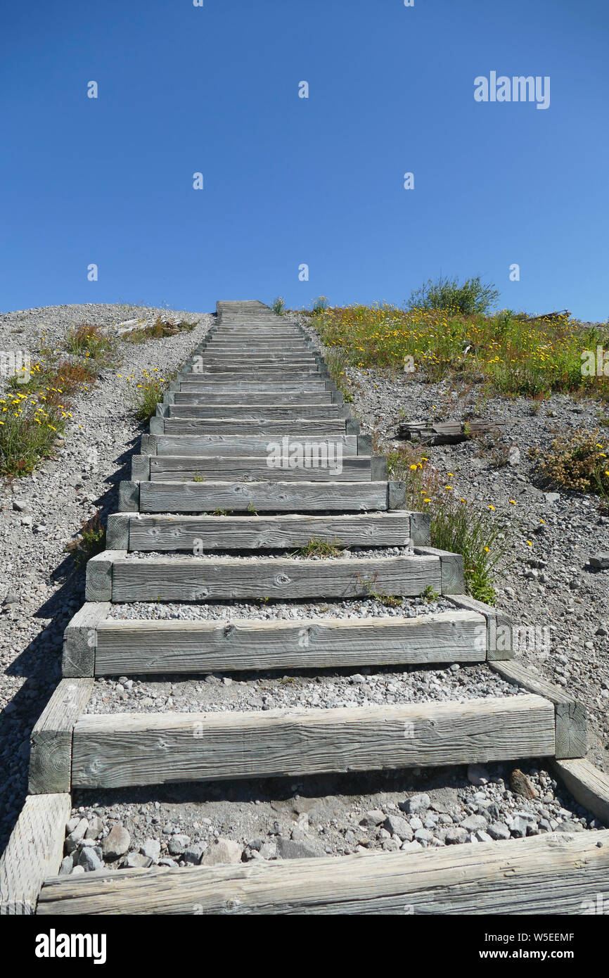 Scala in legno si arrampica per punto di vista in Monte Sant Helens National Volcanic Monument, Washington Foto Stock