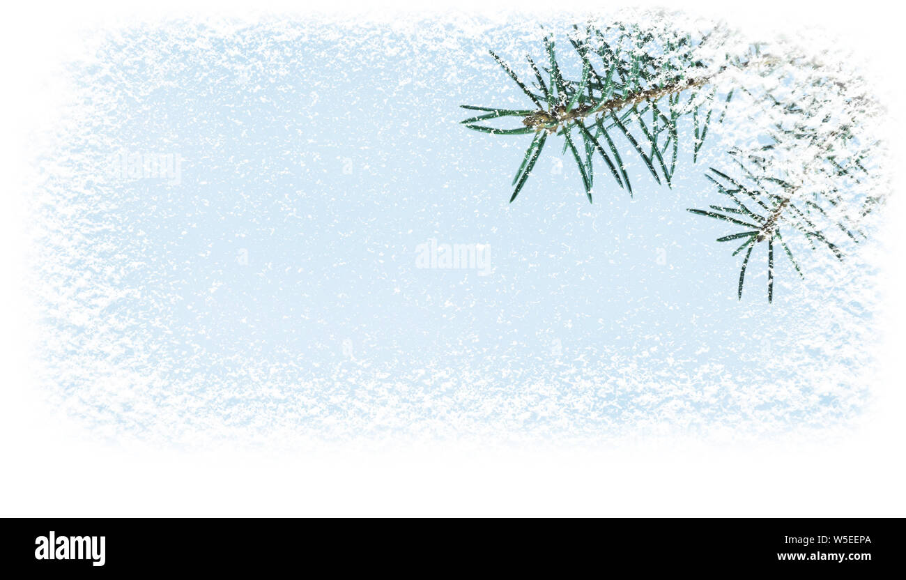 Natale e Anno Nuovo fir tree branch ricoperta di neve nell'angolo del banner orizzontale dello sfondo. Foto Stock