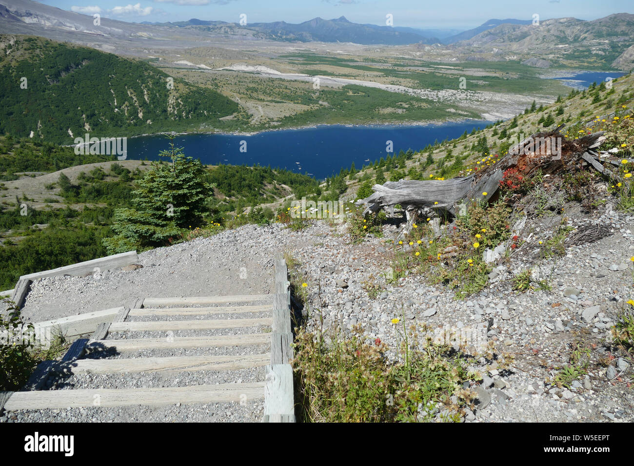 Scala in legno si arrampica per punto di vista in Monte Sant Helens National Volcanic Monument, Washington Foto Stock