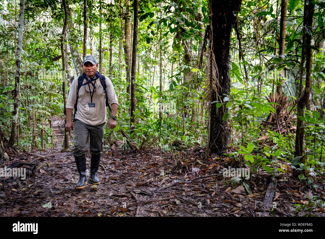 Paramedic accompagna expeditionary gruppo crociera sulla giungla passeggiate nella foresta amazzonica peruviana Foto Stock
