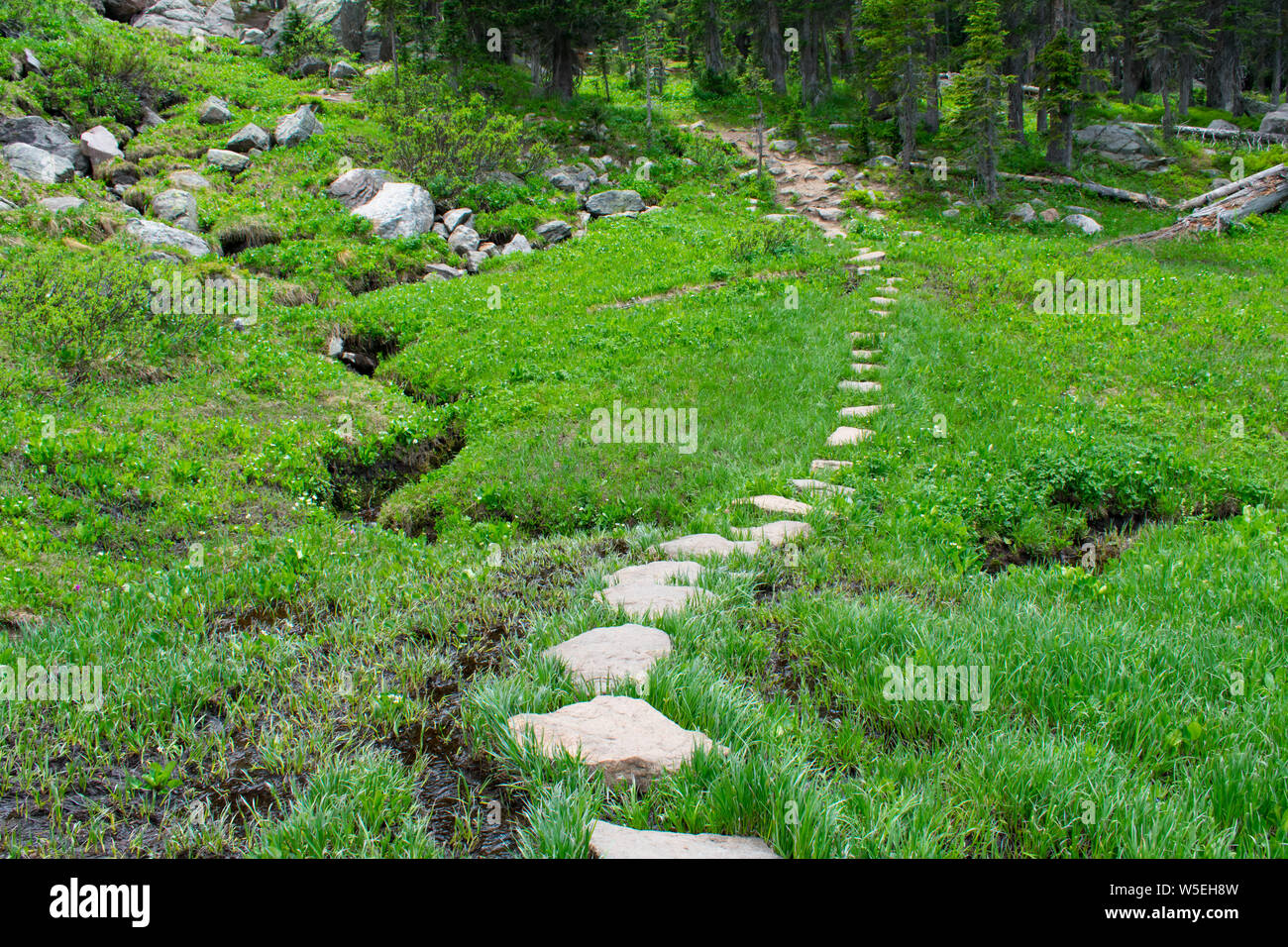 Rock Mountain National Park Trail Foto Stock