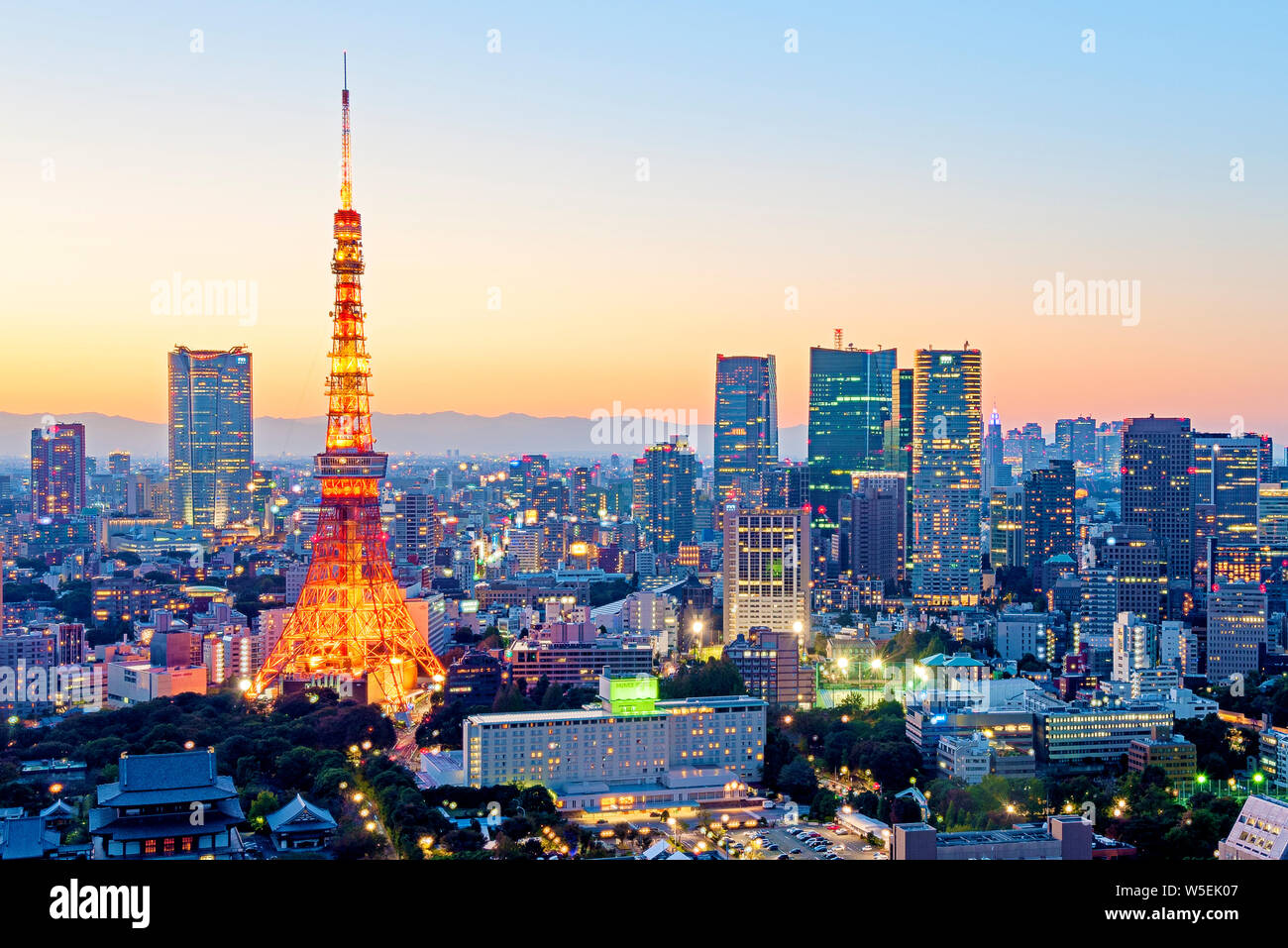 Lo skyline di Tokyo e la Torre di Tokyo Giappone Asian Cityscape Foto Stock