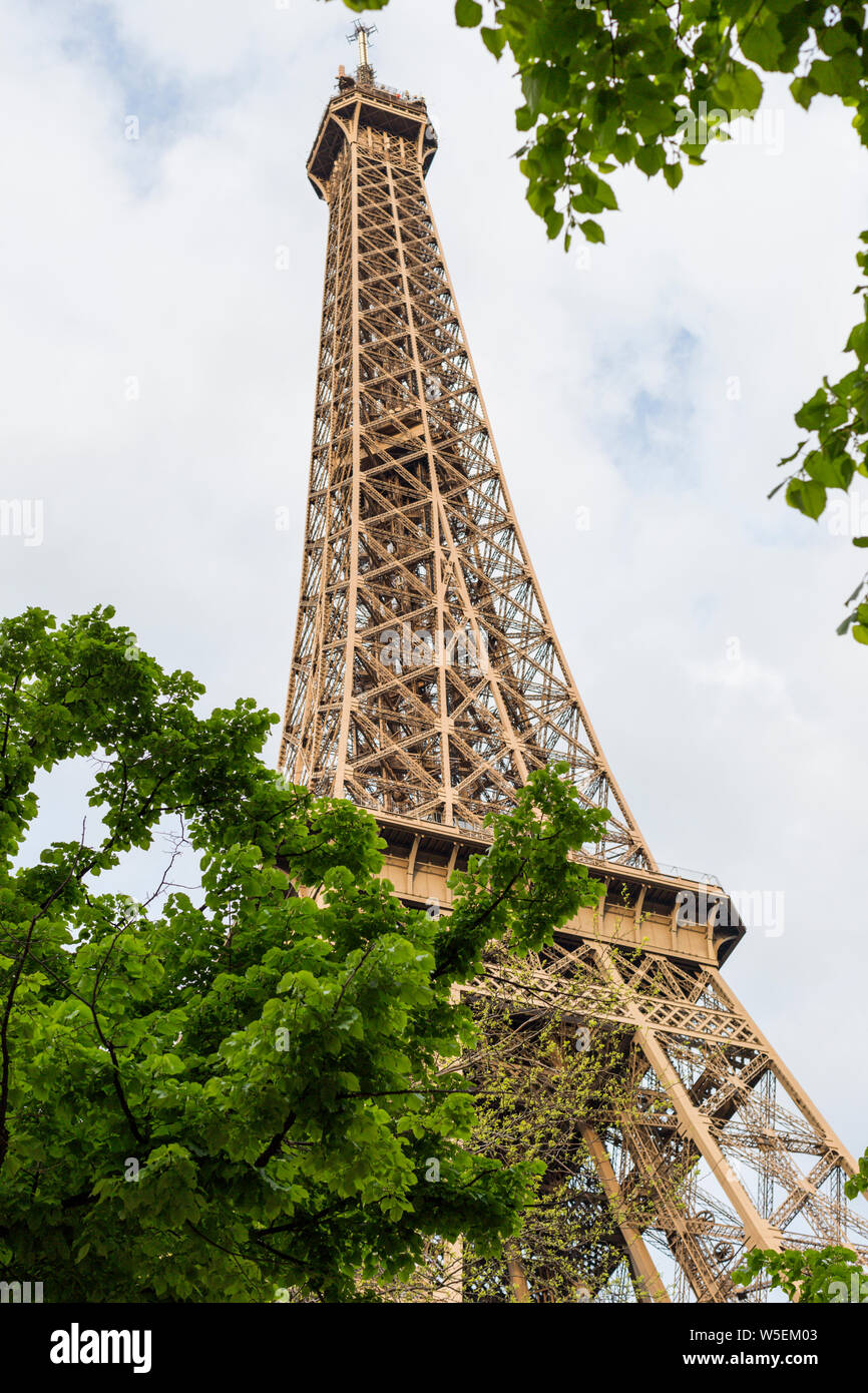 Torre Eiffel con alberi a basso angolo, Parigi Foto Stock