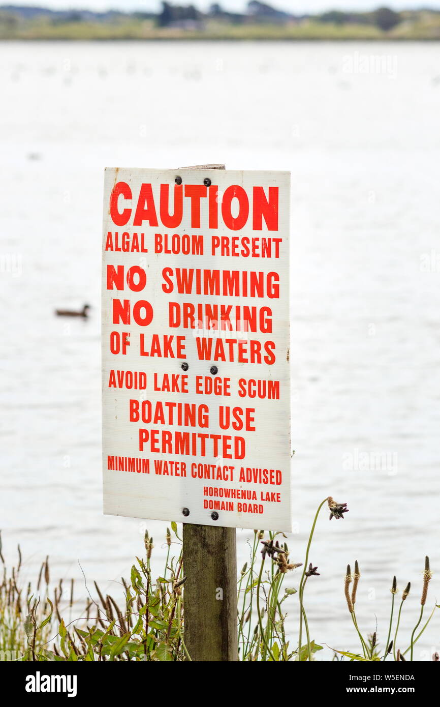 Levin, Nuova Zelanda - Novembre 12th, 2017: un segnale di avvertimento di fioritura algale inviato al Lago Horowhenua fornendo informazioni sui pericoli di esposizione per visi Foto Stock