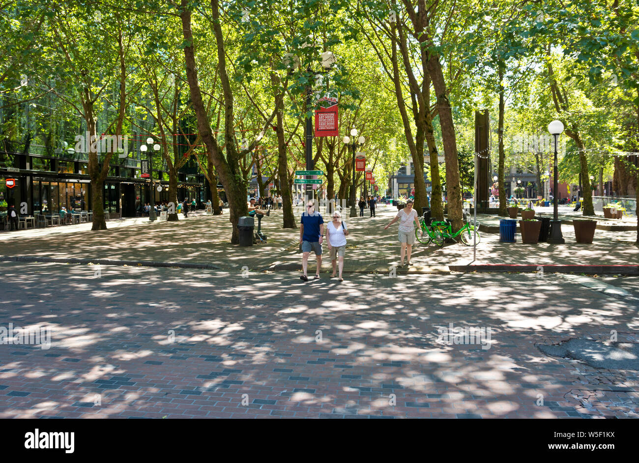 Spazio pedonale con alberi in Pioneer Square quartiere di Seattle, Washington, Stati Uniti d'America. Seattle's Pioneer Square. Foto Stock