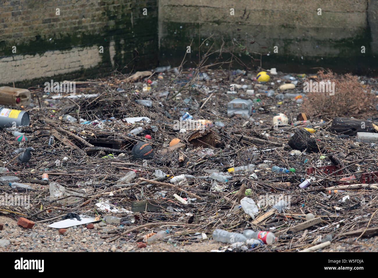 Limekiln Docks Limehouse East London e di rifiuti di plastica che è gettato nel Fiume Tamigi si raccoglie alla fine. Foto Stock