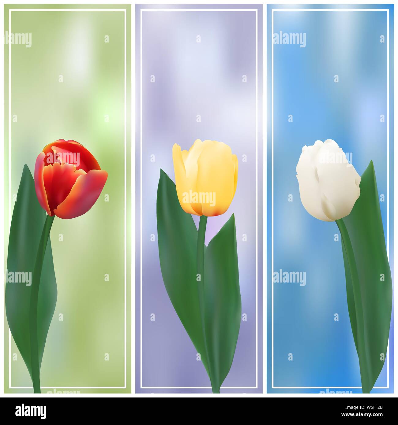 Set di banner con tulipani colorati. Illustrazione Vettoriale. Illustrazione Vettoriale