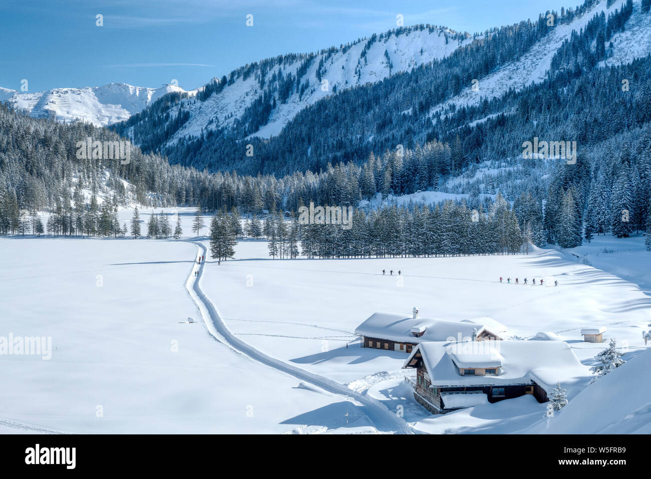 Austria, Kleinwalsertal (piccola valle Walser), Allgau Alpi, Schwarzwassertal; Norvegia abete foresta, Melkode plateau e Melkode Capanne (1346 m) Foto Stock