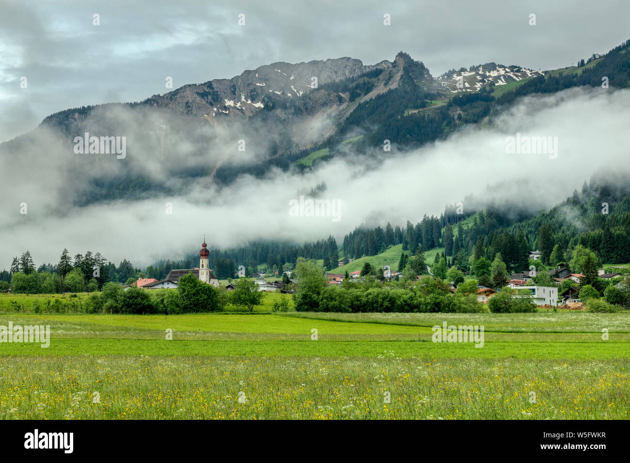 Austria, Tirolo, Lechtal, pascoli nelle vicinanze del villaggio di Wangle Foto Stock