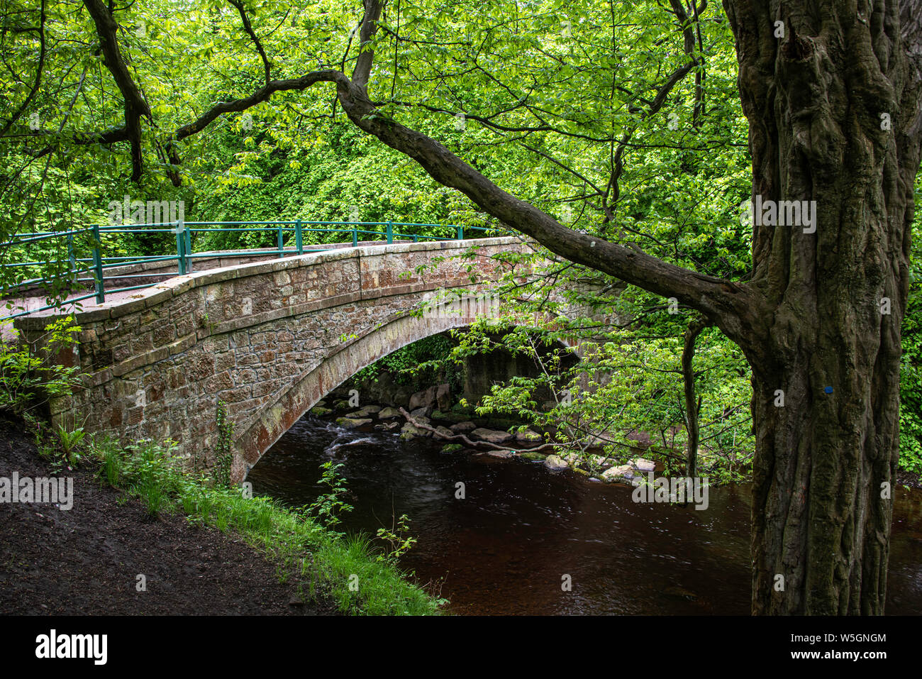 Il ponte di pietra sopra l'acqua di Leith fiume che scorre attraverso Craiglockhart Dell, Edimburgo, Scozia Foto Stock