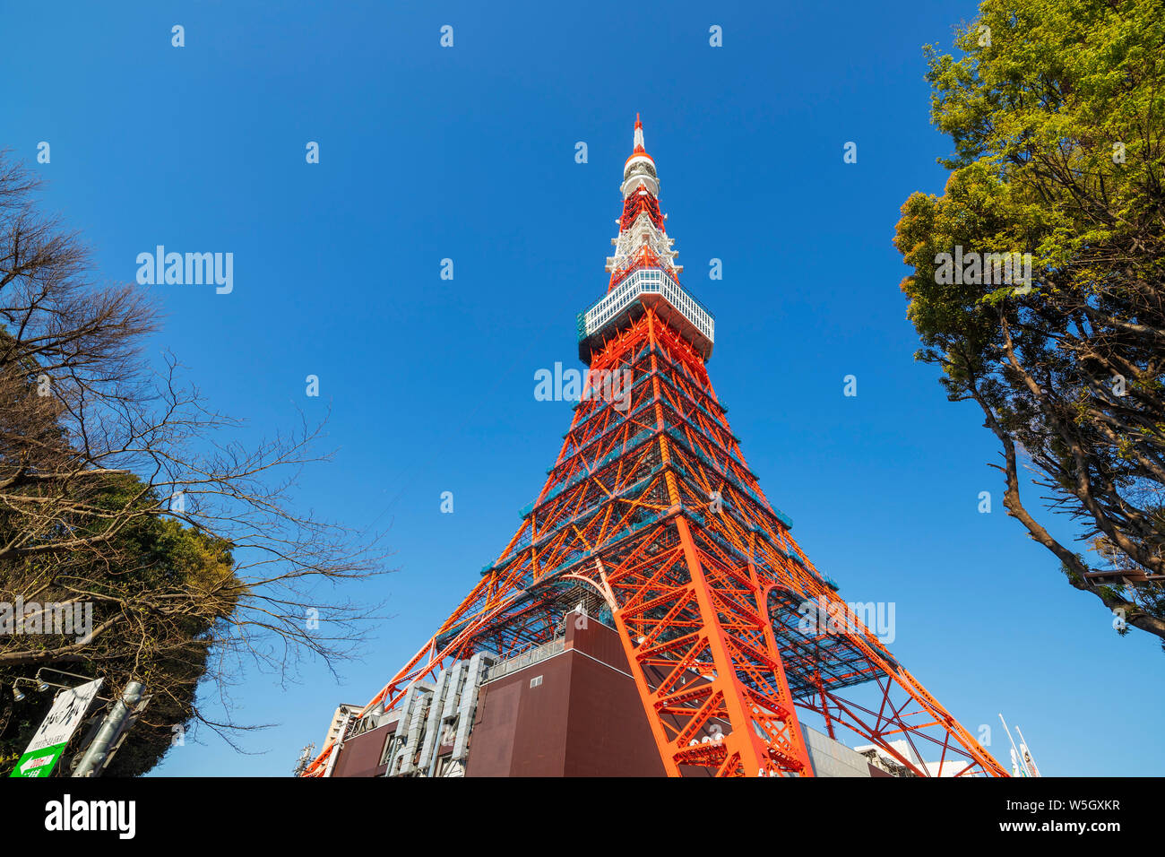 La Torre di Tokyo, Roppongi, Tokyo, Giappone, Asia Foto Stock