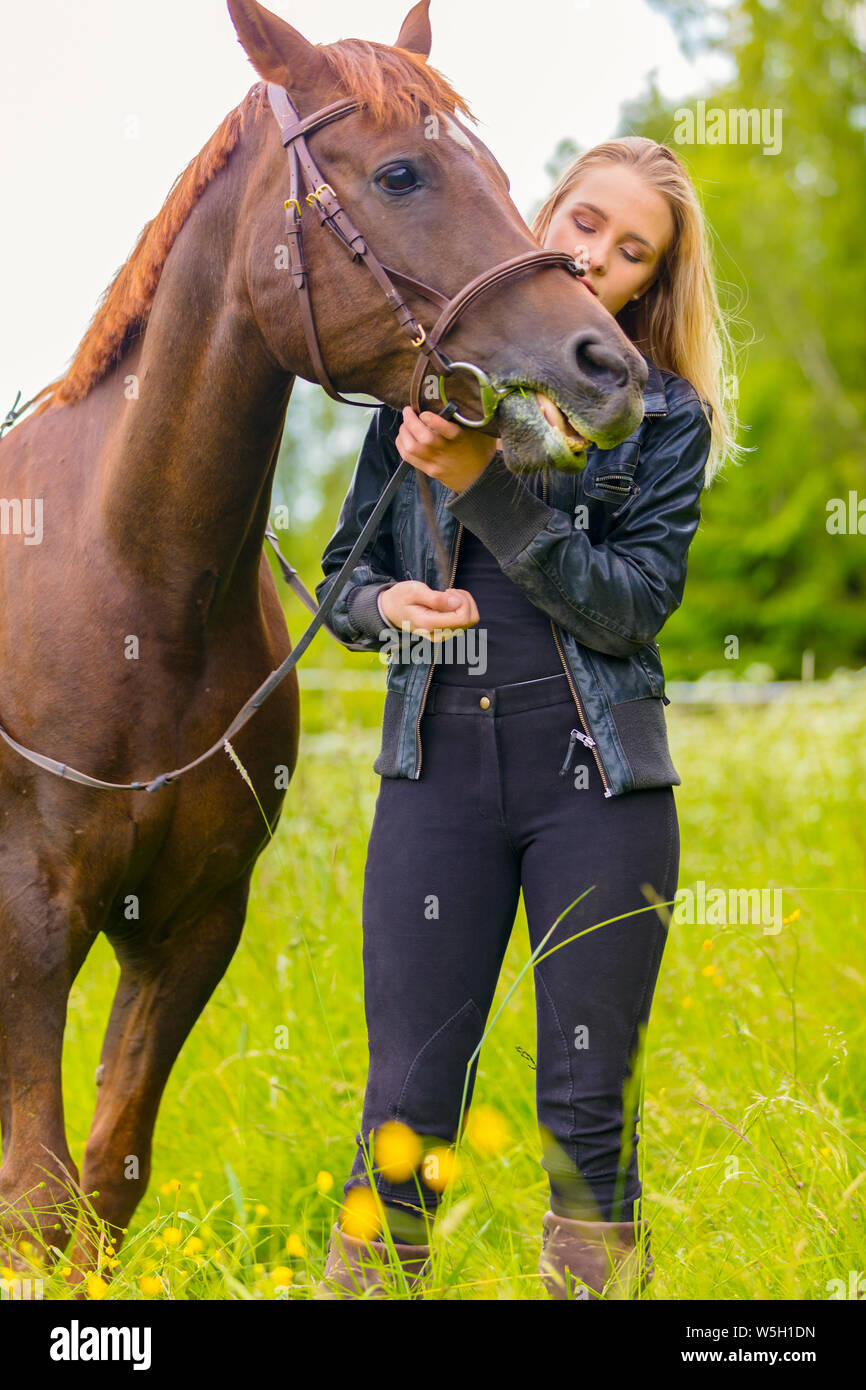 Donna di comunicare con lei beautilful Arabian Horse amico nel campo Foto Stock