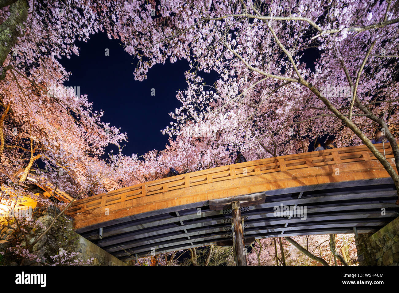 A forma di cuore di fiori di ciliegio a Takato castello, Takato, Prefettura di Nagano, Honshu, Giappone, Asia Foto Stock