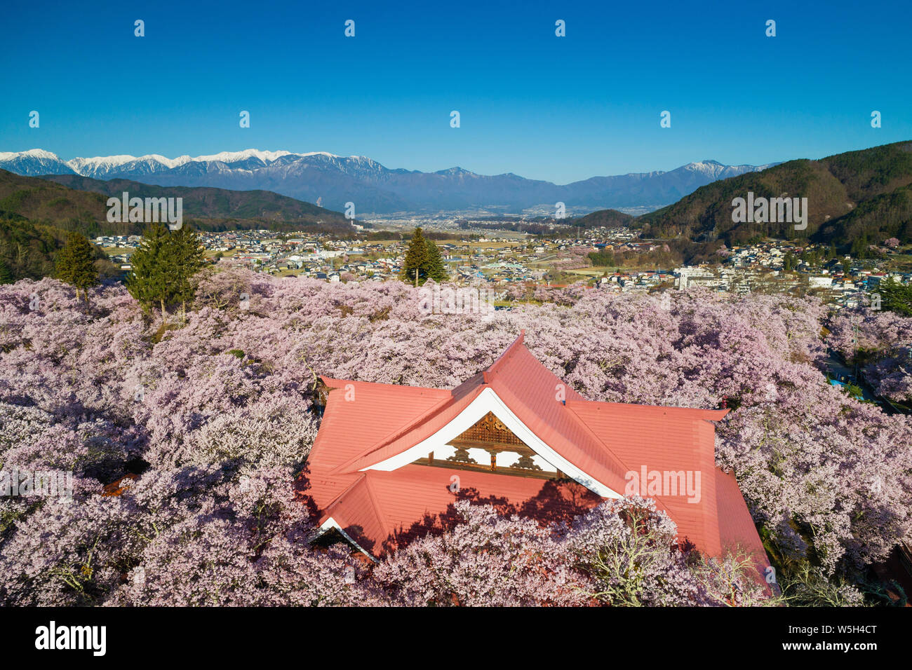 Takato Castello e la fioritura dei ciliegi, Takato, Prefettura di Nagano, Honshu, Giappone, Asia Foto Stock