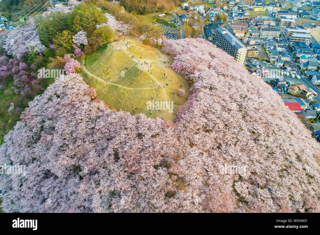 Fiore di Ciliegio a Koboyama, Matsumoto, Prefettura di Nagano, Honshu, Giappone, Asia Foto Stock