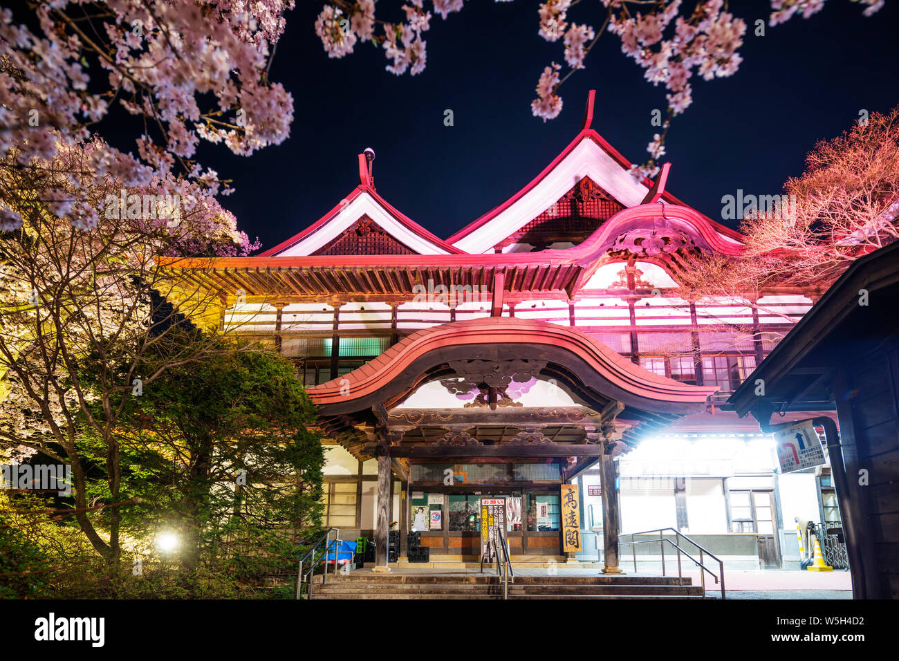 Fiore di Ciliegio a Takato Castello, Takato, Prefettura di Nagano, Honshu, Giappone, Asia Foto Stock