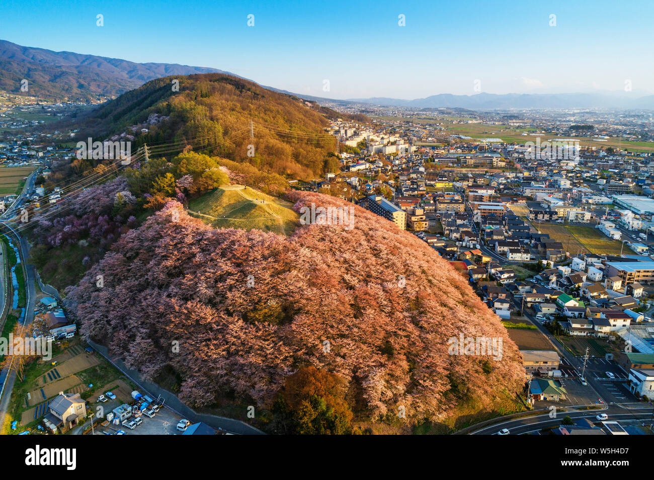 Fiore di Ciliegio a Koboyama, Matsumoto, Prefettura di Nagano, Honshu, Giappone, Asia Foto Stock