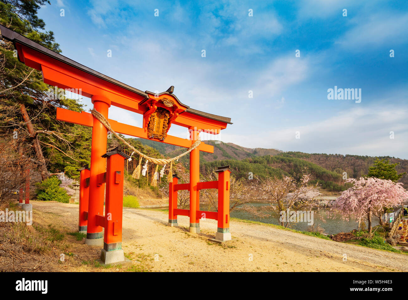 Porta Torii di Sacrario scintoista, Matsumoto, Prefettura di Nagano, Honshu, Giappone, Asia Foto Stock