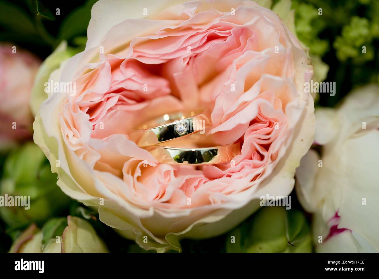 Foto simbolico sul tema del matrimonio e matrimoni. Tradizionalmente, bouquet della sposa appartiene a ogni matrimonio. Le fedi sono un simbolo di lealtà al supporto di persone, cioè i coniugi. | Utilizzo di tutto il mondo Foto Stock