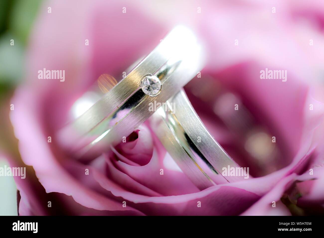 Foto simbolico sul tema del matrimonio e matrimoni. Tradizionalmente, bouquet della sposa appartiene a ogni matrimonio. Le fedi sono un simbolo di lealtà al supporto di persone, cioè i coniugi. | Utilizzo di tutto il mondo Foto Stock