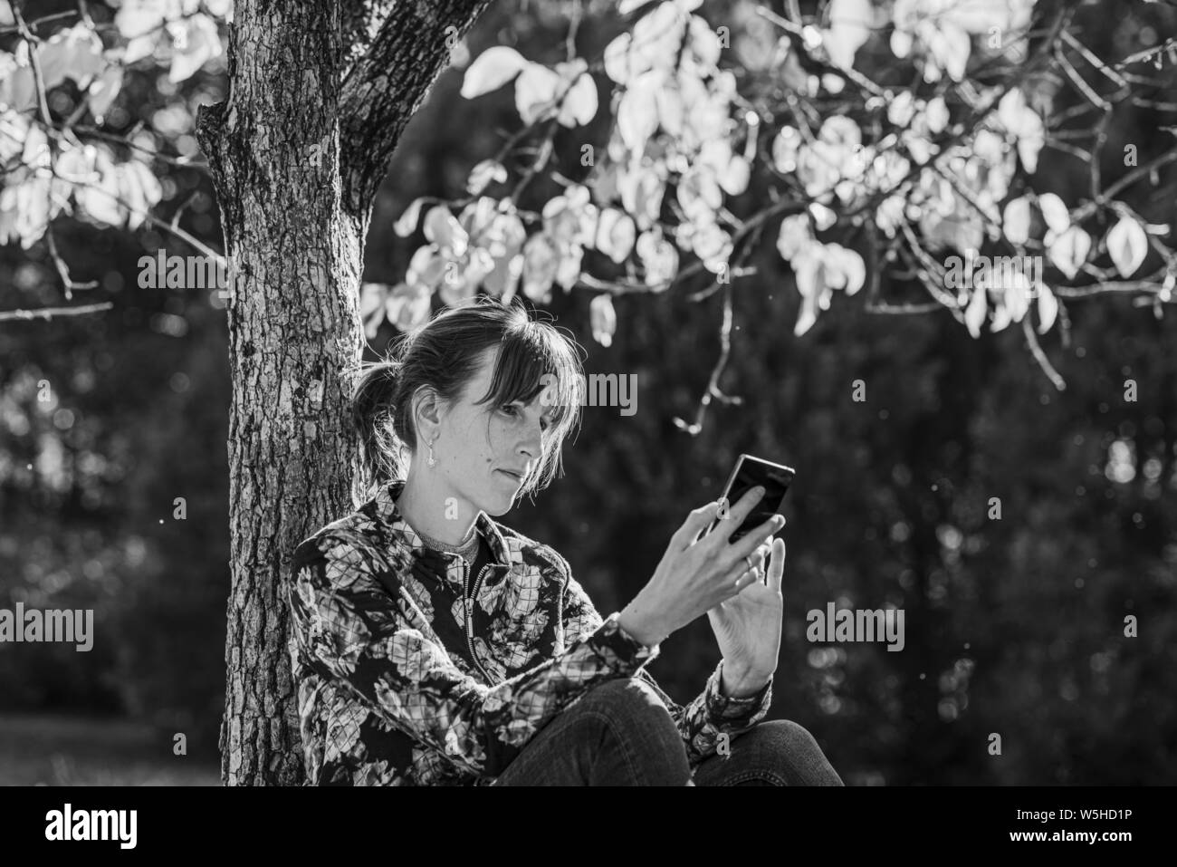 Immagine in scala di grigi di una giovane donna seduta sotto un albero di autunno guardando il suo smartphone. Foto Stock