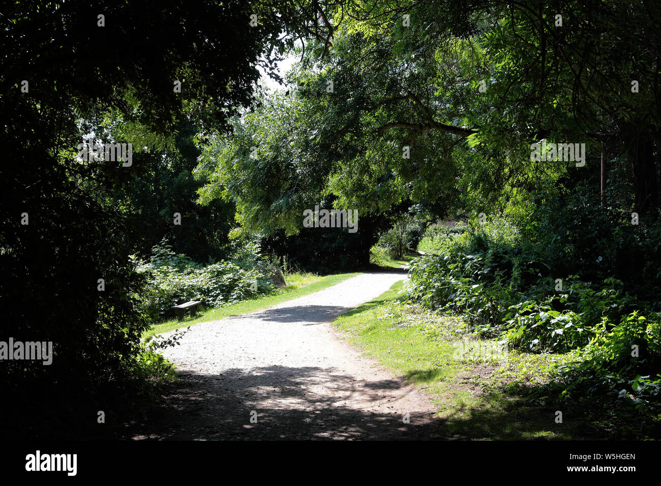 Leybourne Lakes Country Park Larkfield Kent Foto Stock