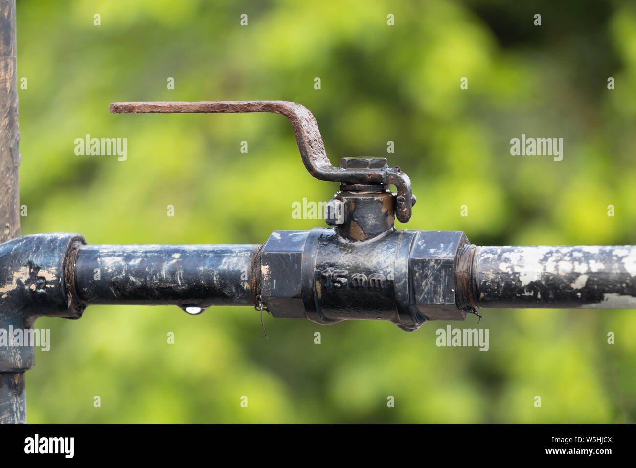 Tubo di acqua di valore su sfondo sfocato. Foto Stock